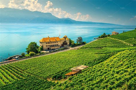 Fantastic vineyards in Lavaux region | Vineyard photography, Vineyard ...