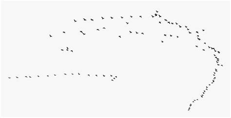 Swarm Of Birds Silhouette Clip Arts - Flock, HD Png Download ...