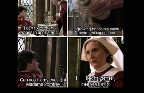 Harry Potter and the Chamber of 27 Harry Potter Memes