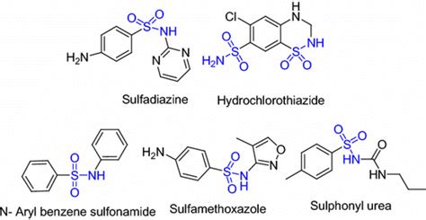 Some examples of bioactive sulfonamide derivatives | Download Scientific Diagram