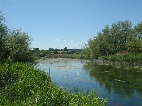 River Stour in Dorset | The River Stour in Dorset has been t… | Flickr