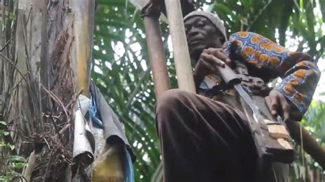 Palm wine tapping in Southern Cameroon in Africa - YouTube