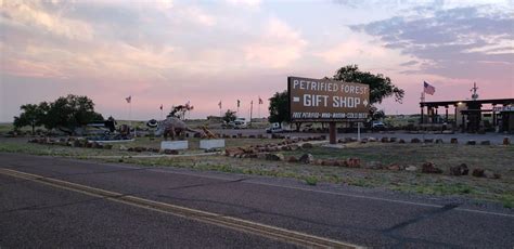 Petrified Forest Gift Shop RV Campsites | Campground Views