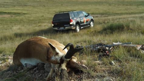 Mastering a “Do It Yourself” Pronghorn Hunting Trip | Pure Hunting