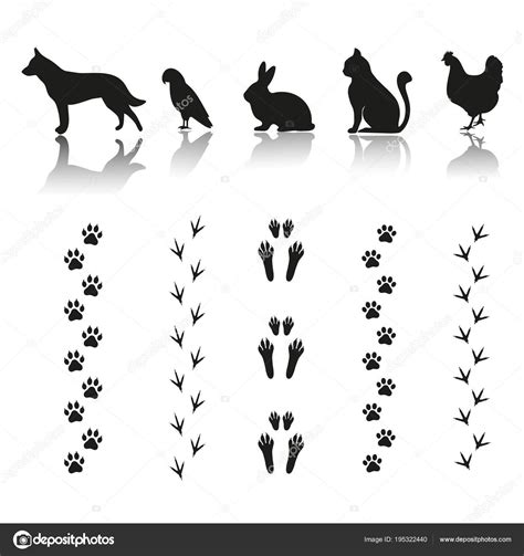Résultats de recherche d'images pour « domestic rabbit footprint » | Pegadas de coelho, Tatuagem ...