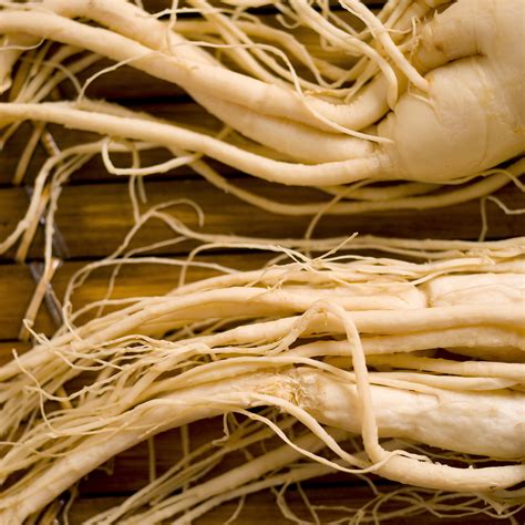 Asian Ginseng | NCCIH