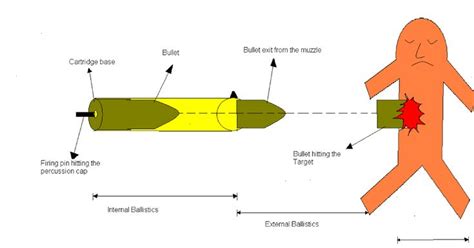 Pin on Forensic Ballistics