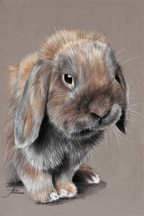 Animal Pastels | Pastels animaliers et équins - Photographies - Peintures | Peinture, Dessin ...