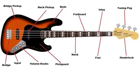 Bass Guitar Parts 101: The Parts That Make the Music - StringVibe