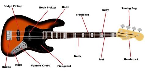 Bass Guitar Parts 101: The Parts That Make the Music - StringVibe