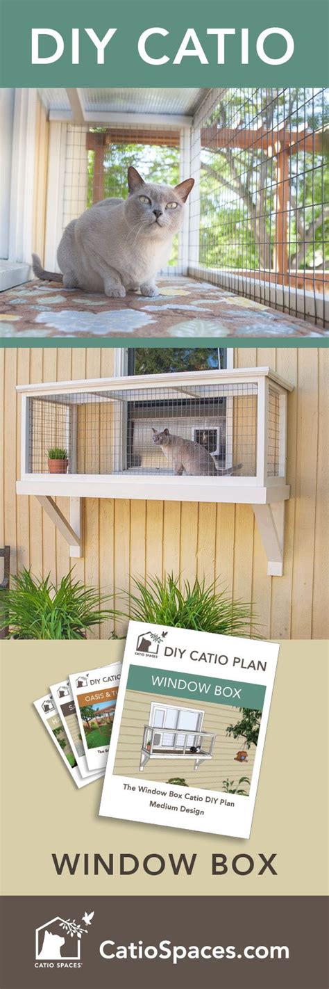 Diy Window Box For Cats : 52 Cat Window Box Ideas In 2021 Cat Enclosure ...