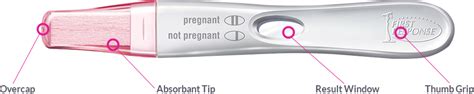 Early Result Pregnancy Test | First Response™