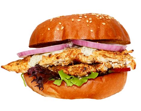 The Best Chicken Sandwich in Englewood, New Jersey by Zalim