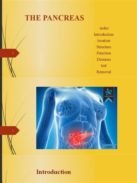 The Pancreas: Index: Location Structure Function Diseases Test Removal ...