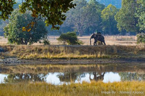 Bandhavgarh Tiger Reserve - Charges