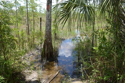 Tamiami Trail Triathlon – Florida Hikes