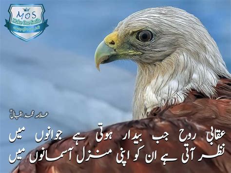 Allama Iqbal Poetry in Urdu for Students 2018 - 2019 | Best Ever Good Poems | Iqbal poetry ...