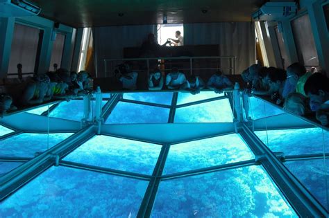 On a glass boat tour, discover the underwater of Hurghada