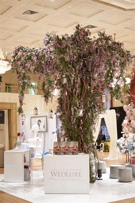 The Wisteria Tree. Fairy Wedding, Wedding Show, Wedding Ceremony ...