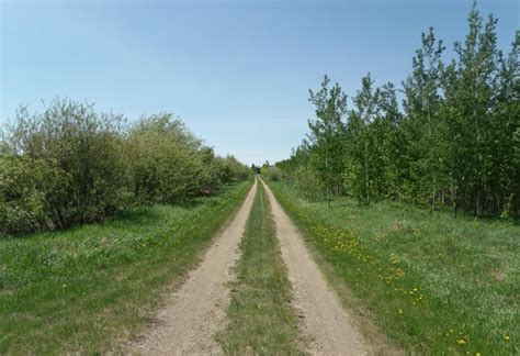 Tisdale - Jones Wildlife Sanctuary Trails | Tourism Saskatchewan