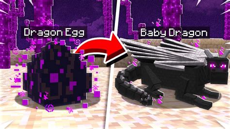 HATCHING BABY MINECRAFT DRAGON EGGS! - YouTube