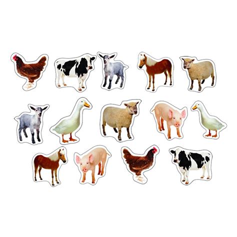 Farm Animals: Photographic Shape Stickers, Pack of 84 - CD-168013 | Carson Dellosa Education ...