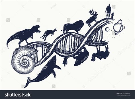 108,585 Evolution Biology Images, Stock Photos & Vectors | Shutterstock