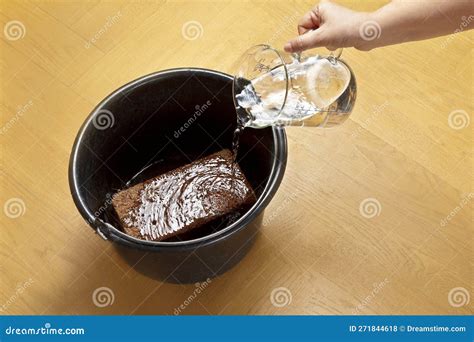 Coconut Coir Soil Brick Instruction 2 Stock Photo - Image of pail ...