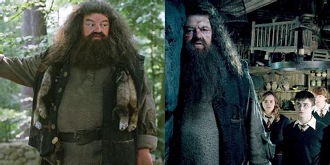 Hagrid's 10 Most Iconic Quotes In Harry Potter