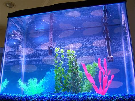 Picking The Best 75 Gallon Aquarium Filter - FishTankAuthority.com