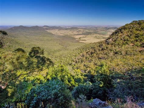 Bunya Mountains National Park | Parks and forests | Department of Environment, Science and ...