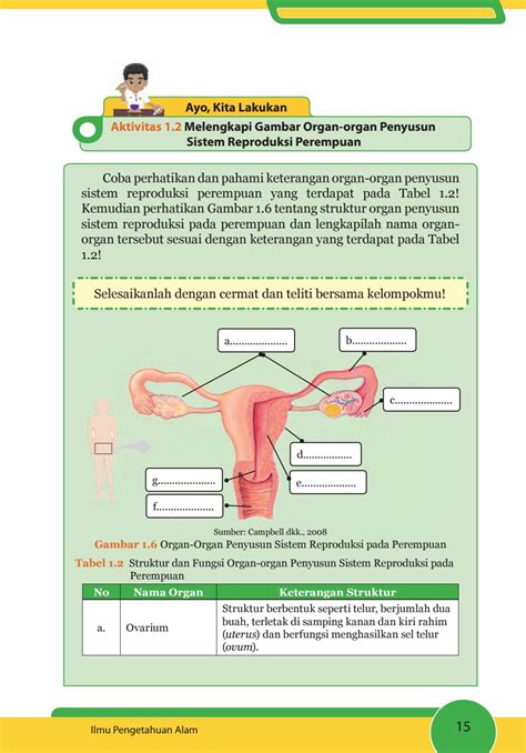 Jelaskan Organ Reproduksi Pada Wanita ~ Blog fakta