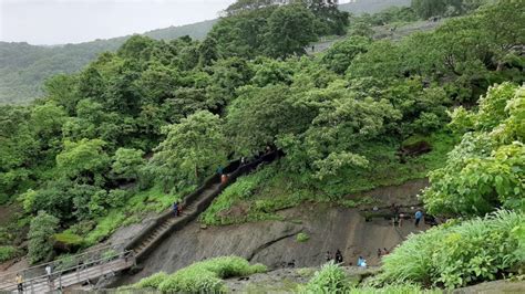 6 Most Amazing National Parks in Maharashtra | WildlifeZones