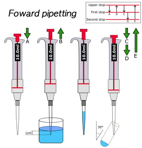 여러종류의 Micropipette 마이크로 피펫 알아보기 - 일구진