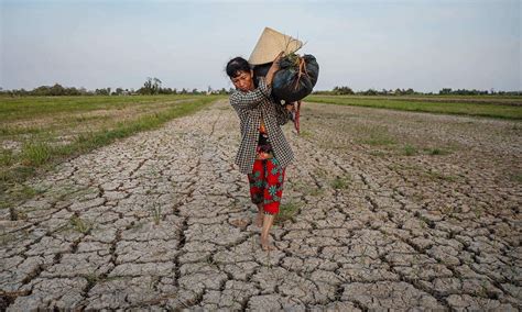 Mekong Delta needs $6.7 billion for smart climate change projects ...