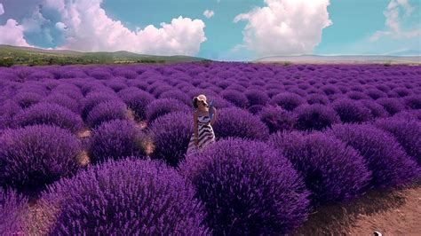 10 Lavender Dresses That Have Changed the Color Game of Fashion