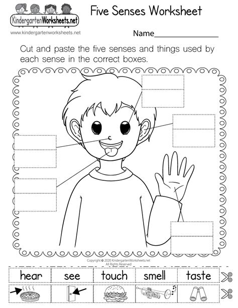 Five Senses Worksheet for Kindergarten (Free Printable) | Five senses ...