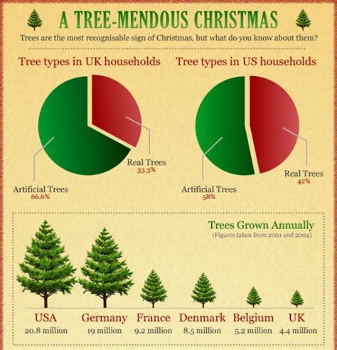 Top 5 Christmas Tree Infographics