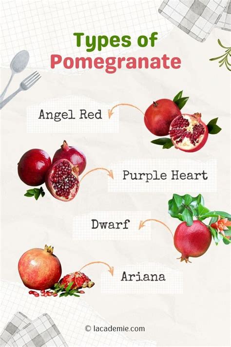 Pomegranate varieties – Artofit