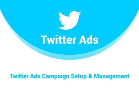 Setup your twitter ads campaign and organic promotion marketing by ...