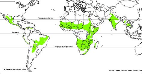 Tropical forest management techniques: a review of the sustainability of forest management ...