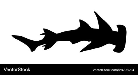 Hammerhead shark silhouette Royalty Free Vector Image