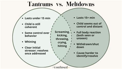 Tantrum vs Meltdown: Difference, Why They Happen, + When To Worry