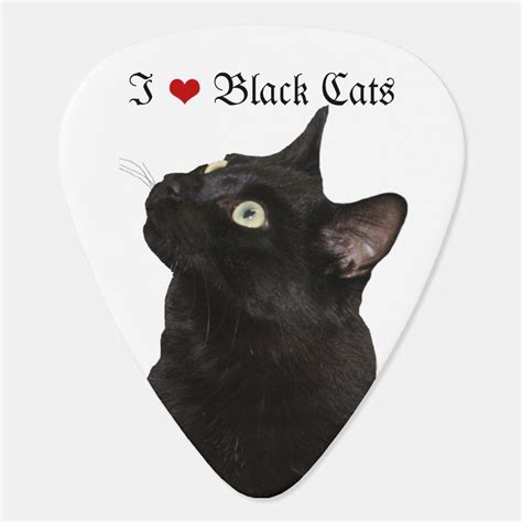 I Love Black Cats Guitar Pick | Zazzle.com | Cats, Black cat lover ...