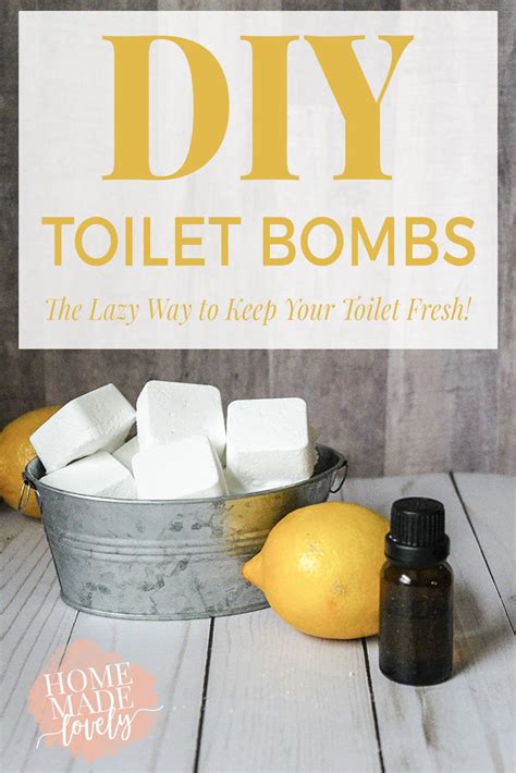 DIY Toilet Bombs - The Lazy Way to Keep Your Toilet Fresh! | Recipe | Toilet bombs, Toilet ...