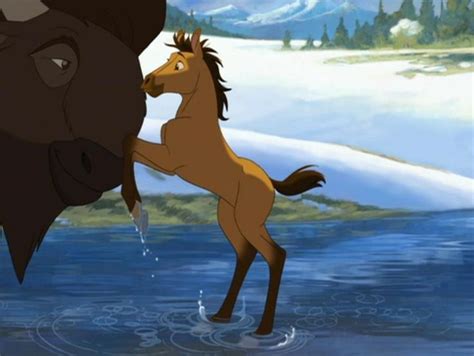 Spirit. Stallion of the Cimarron. (Disney) (Dreamworks) | Spirit the ...