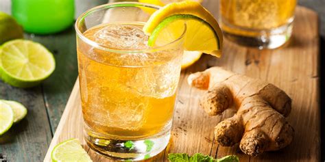 17 Ginger Beer Cocktails To Turn Up The Heat - The Mixer