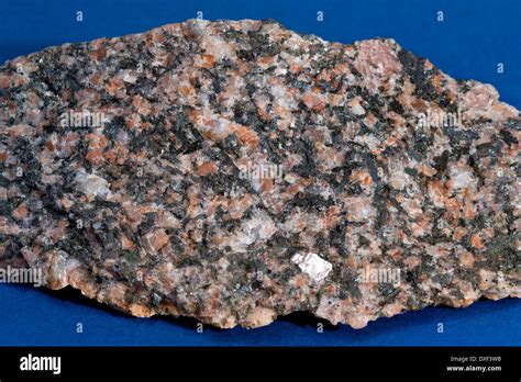 Specimen of Granodiorite igneous rock from loch Sunart Stock Photo: 67944503 - Alamy