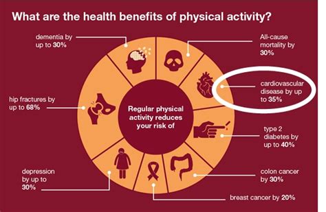 Matters of the Heart: How Important is Cardiorespiratory Fitness?