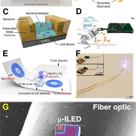 Wireless neural interface devices. (A) Nano-transistor device for ...